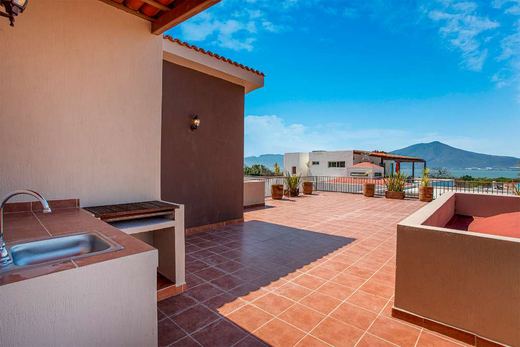 Los Angeles House in San Juan Cosala