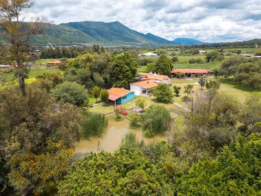 Hacienda la Jerarquia, photograph 3