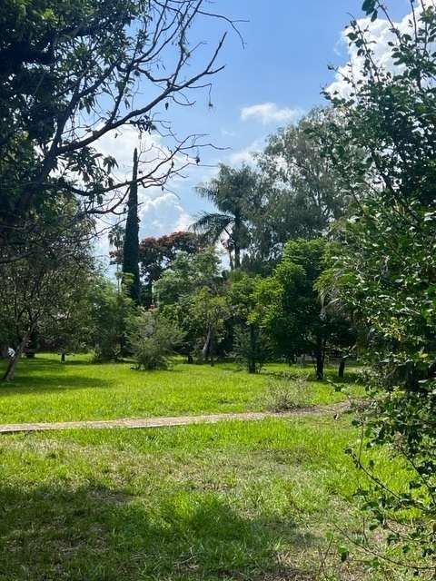 Mansion Lakefront Ajijic, photograph 5