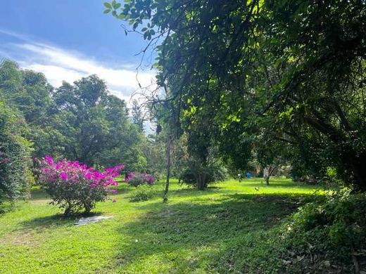 Mansion Lakefront Ajijic, photograph 6