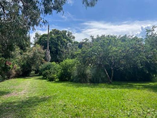 Mansion Lakefront Ajijic, photograph 7