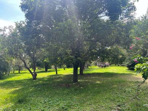 Mansion Lakefront Ajijic, photograph 8