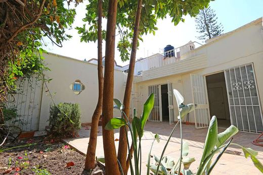 La Floresta Charmer, photograph 11