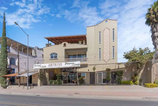 Business and Residential in San Juan Cosala