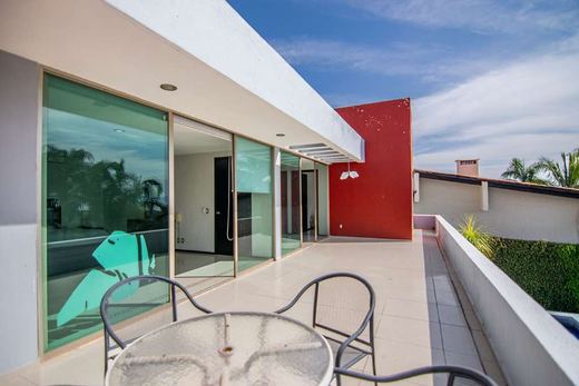 Vistas Del Toro, photograph 9