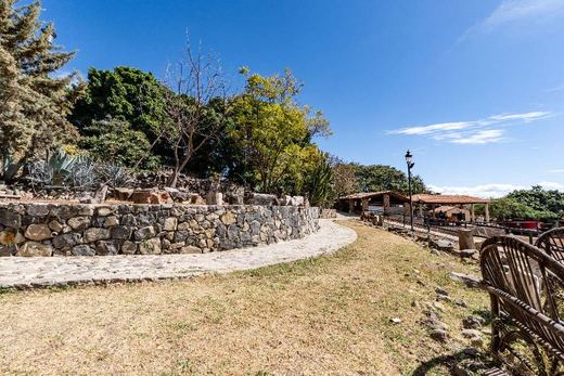 Rancho San Francisco, photograph 5