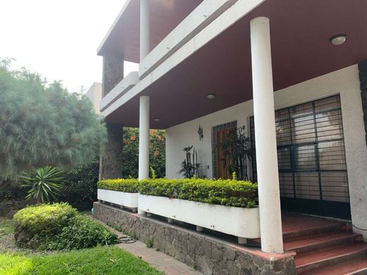 Minerva GDL in Guadalajara