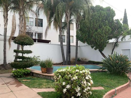 Minerva GDL, photograph 4