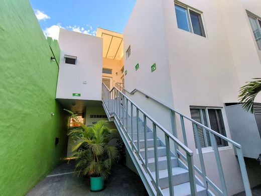 Downtown Ajijic Investment, photograph 4