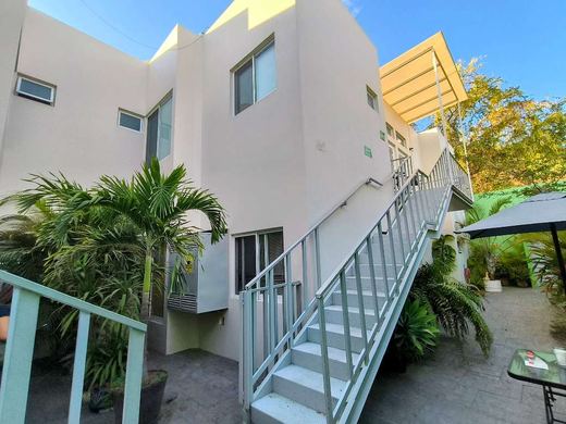 Downtown Ajijic Investment, photograph 5