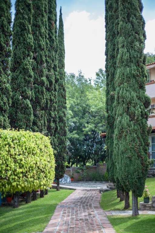 Loma Alta 16, photograph 6