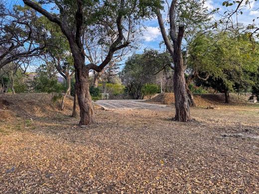 San Cristóbal Reserva del Lago, photograph 10
