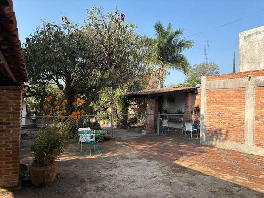 Rare La Floresta Compound, photograph 12