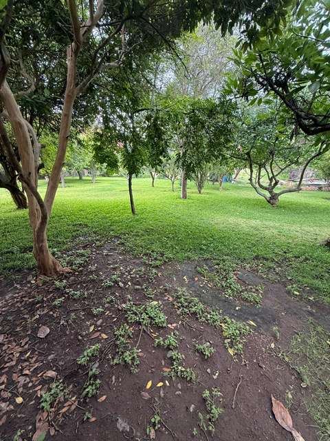 Fixer Upper,San Cristóbal Lakefront, photograph 6