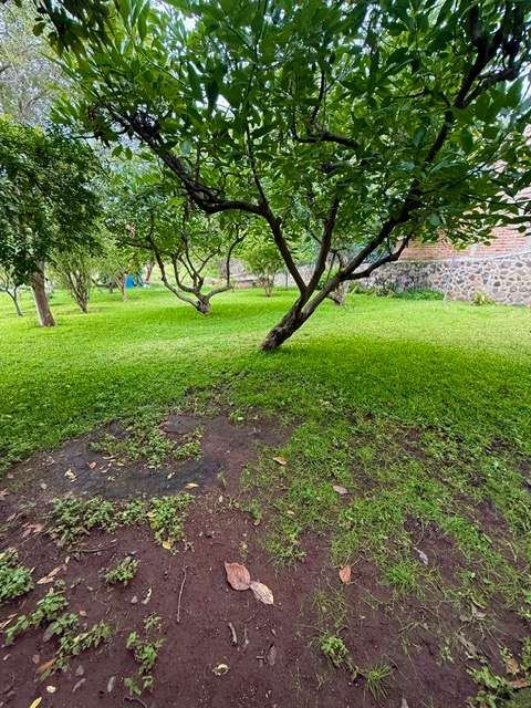 Fixer Upper,San Cristóbal Lakefront, photograph 7