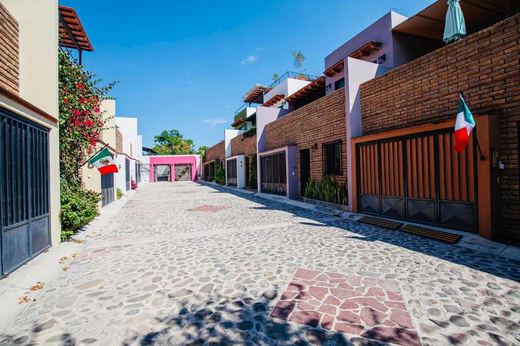 Encarnación Rosas, photograph 8