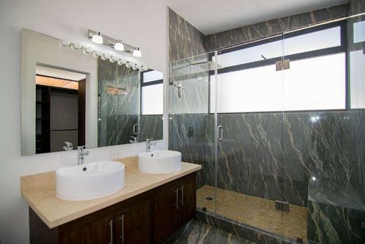 Real Larios Home, photograph 10