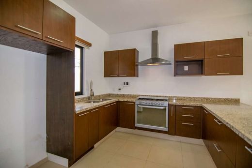 Real Larios Home, photograph 4