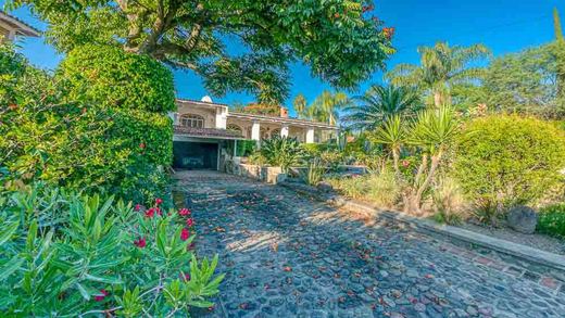 Casa Ross - The Quiet Garden, photograph 3