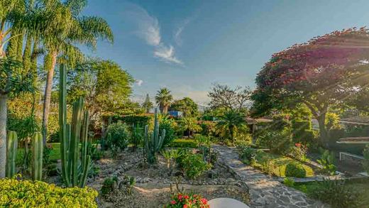 Casa Ross - The Quiet Garden, photograph 5