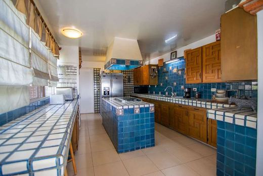 Casa Los Encinos, photograph 7