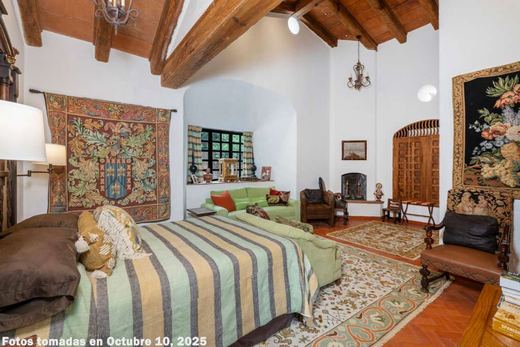 LAS Tapias -3 Acre Estate, photograph 11