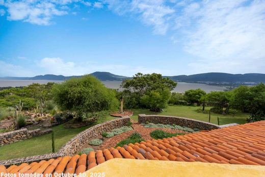 LAS Tapias -3 Acre Estate, photograph 5
