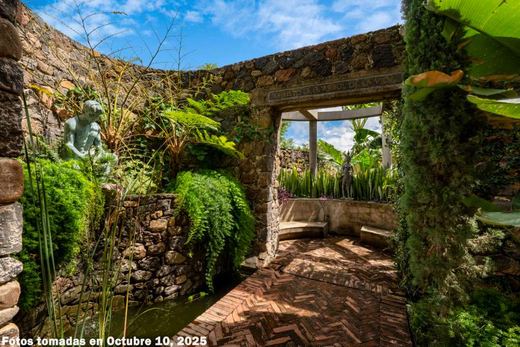 LAS Tapias -3 Acre Estate, photograph 7