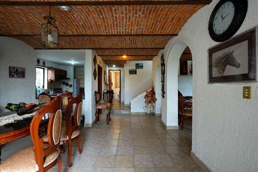 Casa Alice, photograph 7