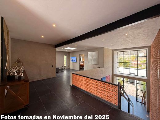 Riberas Contemporary, photograph 11
