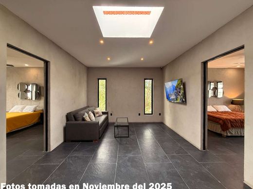 Riberas Contemporary, photograph 12