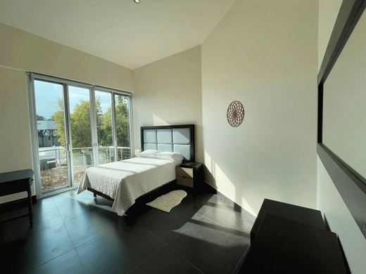 Altaviews, photograph 11