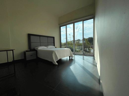 Altaviews, photograph 12