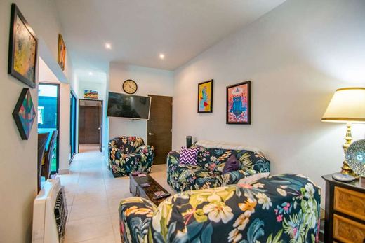 Casa Lola, photograph 2