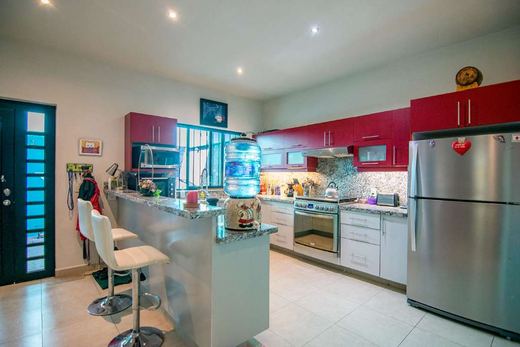 Casa Lola, photograph 4