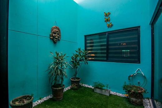 Casa Lola, photograph 7