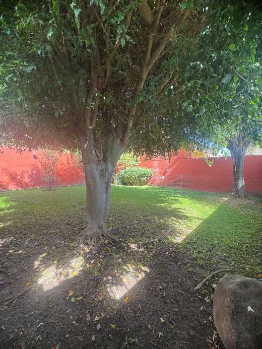 Casa Tabachines, photograph 12