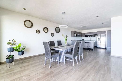 Casa Super Lakeview, photograph 10