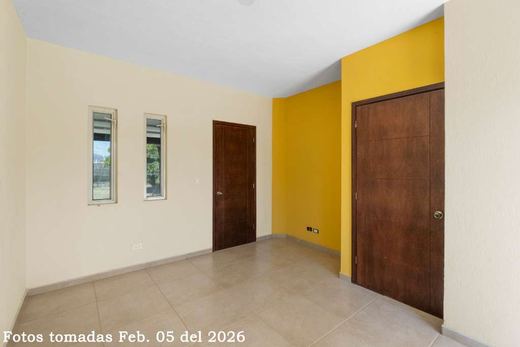 Casa Azomalli, photograph 8