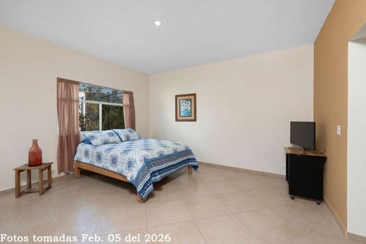 Casa Azomalli, photograph 9