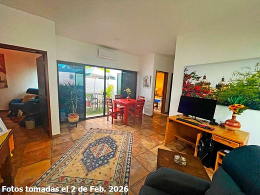 Riberas Golden Opportunity, photograph 4