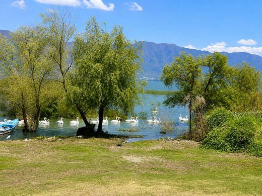 Depa Lago Luna 201, photograph 3
