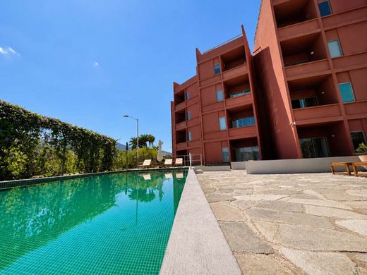 Depa Lago Luna 201, photograph 6