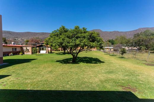 Finca EL Chante, photograph 11