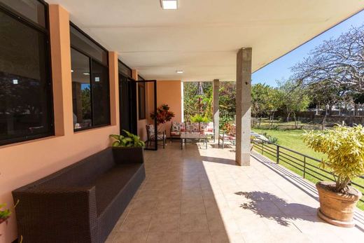 Finca EL Chante, photograph 3
