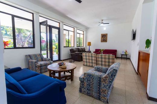 Finca EL Chante, photograph 4