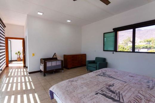 Finca EL Chante, photograph 8