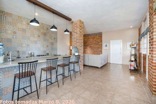 Casa Olivo, photograph 11