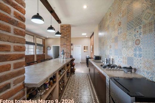 Casa Olivo, photograph 12