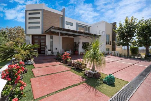 Colinas DE Santa Anita, photograph 2